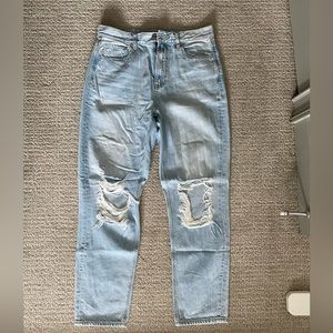 AE Mom Jeans